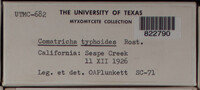 Image Associated With the Occurence